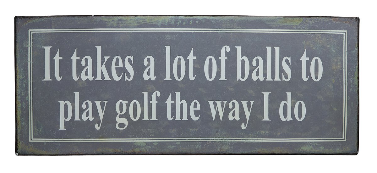 KJ Collection Metal Sign It Takes A Lot Of 31x13cm - Pic 1