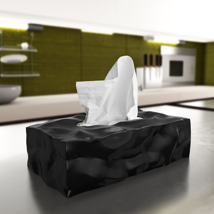 Essey Aufbewahrungsbox Kosmetiktücher Wipy II schwarz - Thumbnail 2