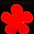 8Seasons Leuchtblume Shining Flower 60cm rot außen - Thumbnail 1