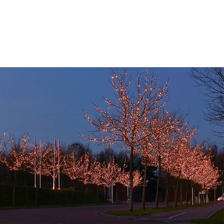 Chaîne lumineuse Sirius Tech-Line Start Set 45 LED blanc chaud 230V 4,5m noir - Thumbnail 8