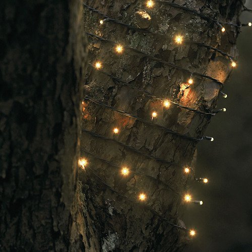 Sirius Lichterkette David 48 LED warmweiß außen 7 m grün