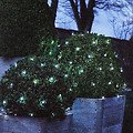 Sirius light net David 200 LED warm white outside 2 x 2m green - Thumbnail 4