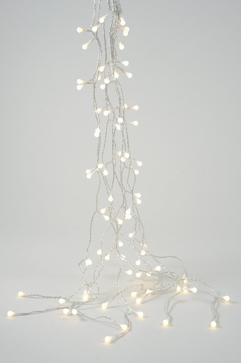 Kaemingk Lichterkette Bündel Kirsche 81 LED transparent 100cm außen - Pic 1