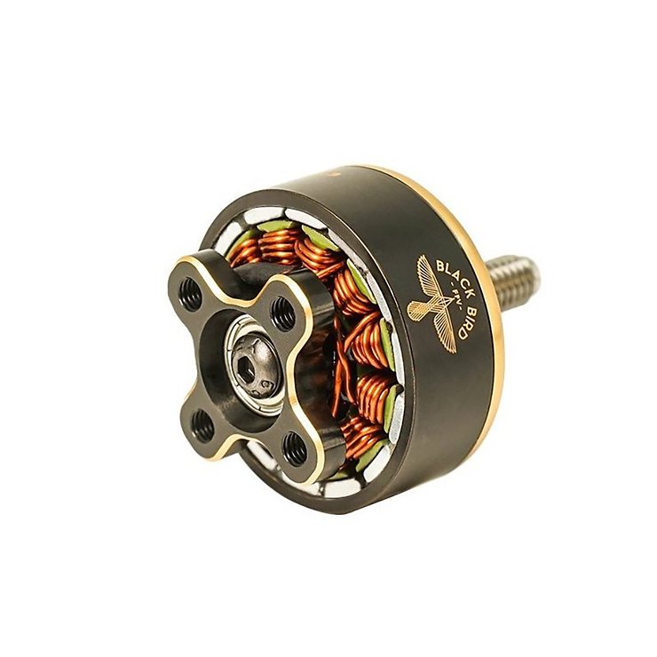 Axisflying Blackbird 2207 V3 1975KV FPV Motor Schwarz Gold - Thumbnail 2