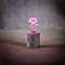 Luca Lighting LED decorative lamp heart battery operated 18 cm pink