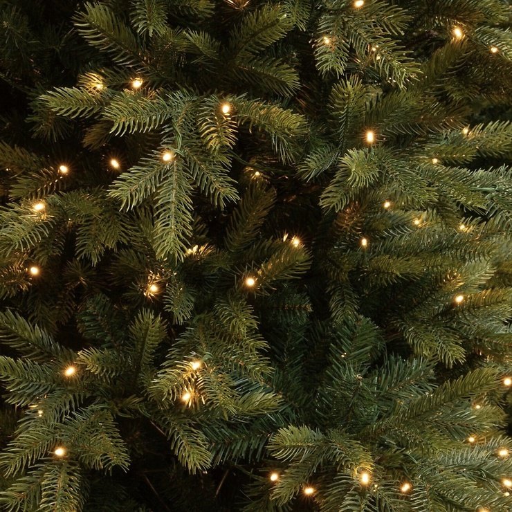 Edelman Black Box Trees LED-Weihnachtsbaum Grimshaw 370 LED warmweiß innen 215 cm grün - Thumbnail 3