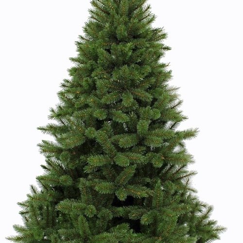 Edelman Künstlicher Weihnachtsbaum Bristlecone 916Tips 215cm grün
