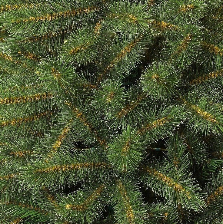 Edelman albero di Natale artificiale Bristlecone 240 LED 215cm verde - Thumbnail 2