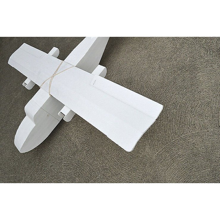 Flite Test Guinea Pig WR - Thumbnail 2