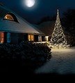 Fairybell LED Baum Fahnenmast 960 LED warmweiß außen 6m - Thumbnail 2