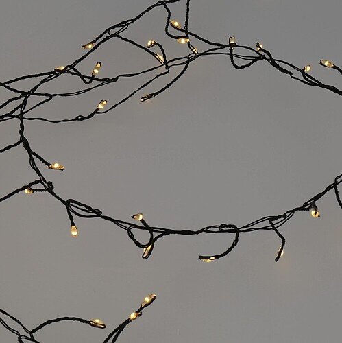 Lights4Christmas LED Cluster light chain battery 60 LED warm white indoor 1m black cable