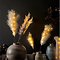 Kaemingk LED Branch Feather Tuft 6 LED 6h Timer 70cm blush