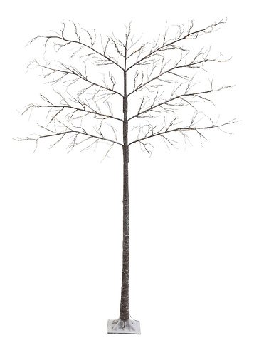 Kaemingk Leuchtbaum Spalierbaum Schnee 272 LED außen 240cm braun