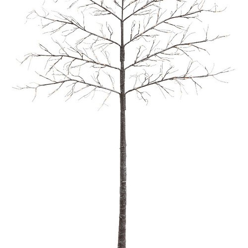 Kaemingk Leuchtbaum Spalierbaum Schnee 272 LED außen 240cm braun