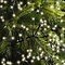 Kaemingk light chain Cluster 1512 LED warm white outdoor 13,5m black