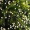 Kaemingk light chain Cluster 1512 LED warm white outdoor 13,5m black