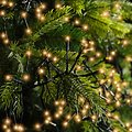 Kaemingk Fairy Lights Cluster 2040 LED classic white outside 17 m black - Thumbnail 3