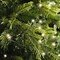Kaemingk Lumineo fairy lights Basic Twinkle 192 LED warm white 14.3 m battery-operated green