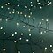 Kaemingk Lumineo fairy lights Compact Twinkle 480 Micro LED warm white 6 m black