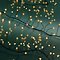 Kaemingk Lumineo fairy lights Compact Twinkle 480 Micro LED classic warm 6 m black