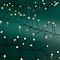Kaemingk Lumineo fairy lights Compact Twinkle 480 Micro LED warm white 6 m black