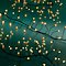 Kaemingk Lumineo fairy lights Compact Twinkle 480 Micro LED classic warm 6 m black