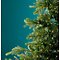 Kaemingk Lumineo light bundle 640 Micro LED classic warm 32 x 1.9 m silver