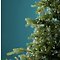 Kaemingk Lumineo light bundle 320 Micro LED warm white 16 x 1 m silver