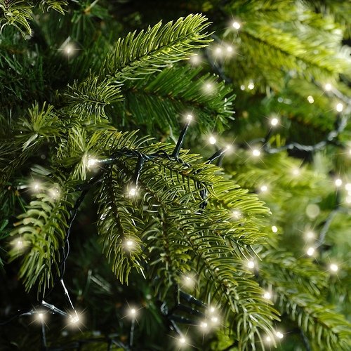 Kaemingk light chain Compact 500 LED warm white outside 11 m green