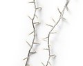 Kaemingk fairy lights Compact with dimmer 500 LED warm white outside 11 m transparent - Thumbnail 4