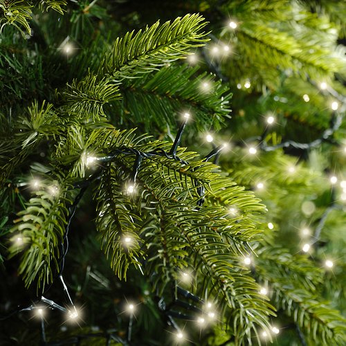 Kaemingk Lumineo lampki wróżki Compact 1000 LED ciepły biały 22.5m zielony na zewnątrz
