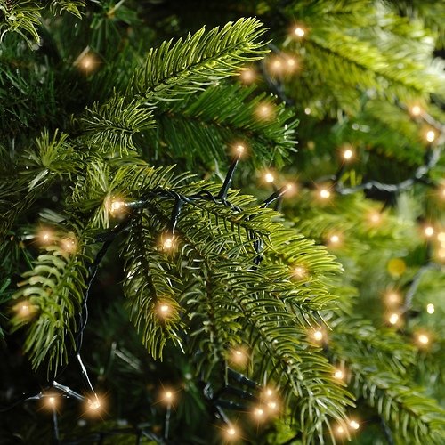 Kaemingk light chain Compact 500 LED classic warm outdoor 11 m green