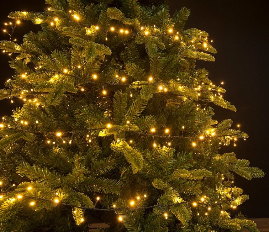 Chaîne lumineuse Kaemingk Compact 1-2-glow 540 LED classique vert chaud - Thumbnail 1