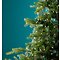 Kaemingk Lumineo light bundle 320 Micro LED warm white 16 x 1 m silver
