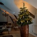 Konstsmide luce catena luminosa albero candele bianco 25 LED bianco caldo 9,6m indoor - Thumbnail 1
