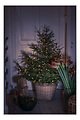 Konstsmide fairy lights Globe tree coat 5 fili 200 LED bianco caldo - Thumbnail 3