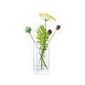 LSA Vase Modular 25 cm Glas klar - Thumbnail 1
