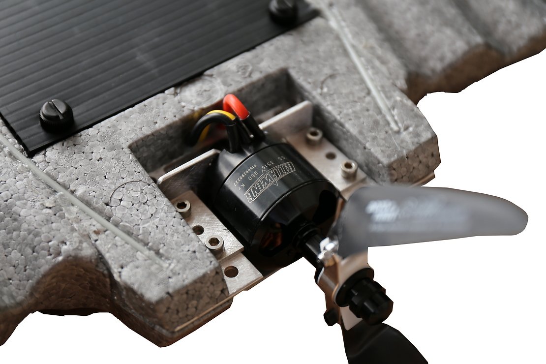 Ritewing Drak - Thumbnail 4