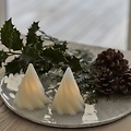 Sirius LED Baum Olina Mini 2er Set Echtwachs 8 cm weiß
