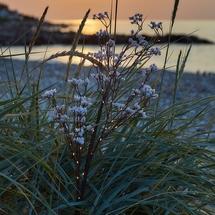 Sirius LED gałązka kwiatowa Michel 45 LED H85 cm zasilana bateryjnie brązowa - Thumbnail 2