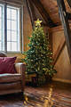 Sirius Árbol de Navidad Top Agnes Cristal 20 LED 22cm Funciona con pilas Claro - Thumbnail 2