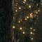 Sirius Lichterkette David 160 LED warmweiß 24m grün außen