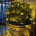 Sirius light net Easy-Line 100 LED warm white 1.5 m green outdoor - Thumbnail 1
