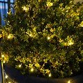Sirius Lichternetz Easy-Line 240 LED warmweiß 2,5 m grün außen - Thumbnail 2
