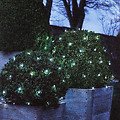 Sirius Lichternetz David 100 LED warmweiß 1x1m grün außen - Thumbnail 3