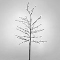 Sirius LED Tree Noah 80 LED blanc chaud extérieur 110 cm marron - Thumbnail 2