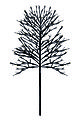 Sirius LED tree Noah 480 LED warm white 220cm black outdoor - Thumbnail 3
