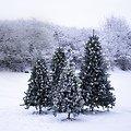 Sirius Albero di Natale artificiale Anton Tree 1,8m 234 LED bianco caldo - Thumbnail 4