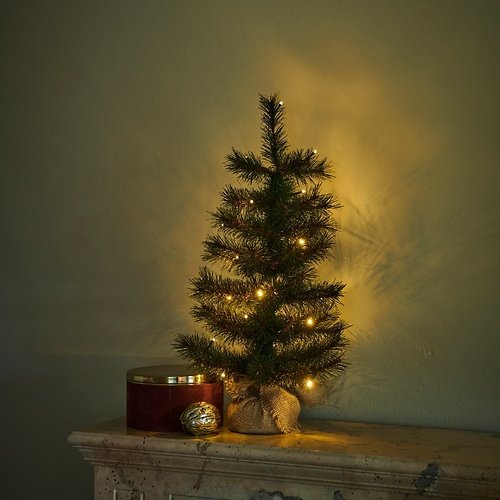 Sirius LED-Tanne Alvin Tree 20 LED warmweiß 60 cm außen batteriebetrieben grün