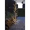 Albero Sirius LED Albero Isaac 110 LED bianco caldo 120cm bianco per esterni